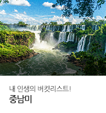 [기획전] 중남미 기획전