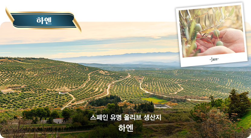 하엔