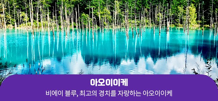 아오이이케