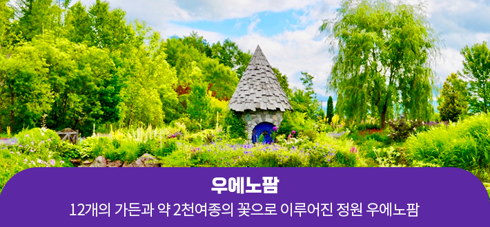 우에노팜