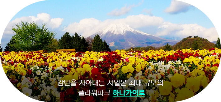 하나카이로